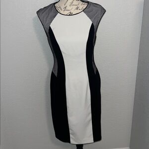 Calvin Klein Dress  Size 4
